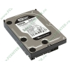 Жесткий диск 500ГБ Western Digital "Caviar Black WD5001AALS" 7200об./мин., 32МБ (SATA II) (oem)