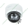Интернет-камера TRENDnet "SecurView PoE Dome Internet Camera TV-IP252P" (LAN) (ret)
