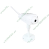 Интернет-камера TRENDnet "ProView Wireless Internet Camera TV-IP501W/E" с микрофоном (LAN, WiFi) (ret)