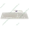 Клавиатура Genius "KB-200", 104+9кн., белый (PS/2) (ret)
