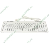 Клавиатура Samsung "Pleomax Hyper Slim Keyboard PKB-5200W", 105+1кн., белый (USB) (ret)