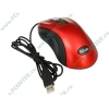 "Мышь" Delux "DLM-300B" оптич., 2кн.+скр., красно-черный (USB) (ret)
