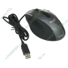 "Мышь" Genius "Ergo 555 Laser" лазерн., 9кн.+скр., черно-серебр. (USB) (ret)