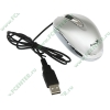 "Мышь" Genius "Mini Traveler" оптич., 2кн.+скр., металлик (USB) (ret)