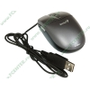"Мышь" Genius "NetScroll T355 Laser" лазерн., 4кн.+скр., серый (USB) (ret)