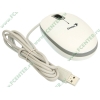 "Мышь" Genius "ScrollToo 200 Oval Optical Mouse" оптич., 2кн.+скр., белый (USB) (ret)