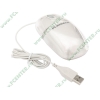 "Мышь" Samsung "Pleomax SPM-7000X" оптич., 2кн.+скр., белый (USB) (ret)