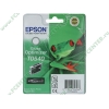 Картридж Epson "T0540" C13T05404010 (глянцевый) для Stylus Photo R800/R1800 