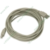Кабель USB2.0 соединительный USB A-B (5.0м) 