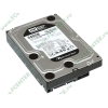 Жесткий диск 640ГБ Western Digital "Caviar Black WD6402AAEX" 7200об./мин., 64МБ (SATA III) (oem)