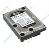 Жесткий диск 1000ГБ Western Digital "Caviar Black WD1002FAEX" 7200об./мин., 64МБ (SATA III) (oem)