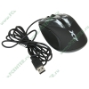 "Мышь" A4Tech "Optical Gaming Mouse X7 X-760H" оптич., 6кн.+скр., черный, с рисунком (USB2.0) (ret)
