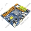 BioStar G41 DVI (RTL) LGA775<G41>PCI-E+SVGA DVI+GbLAN SATA MicroATX 2DDR-II