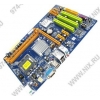 BioStar P43D3 (RTL) LGA775<P43>PCI-E+GbLAN SATA ATX 2DDR-III