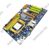 BioStar A770E (RTL) SocketAM2+ <AMD 770>PCI-E+GbLAN SATA RAID ATX 4DDR-II