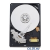 Жесткий диск 160 Gb Western Digital WD1600AAJB Caviar Blue, IDE <7200rpm, 8Mb>