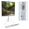 Экран на штативе ScreenMedia Apollo-T формат  180*180  MW STM-1102