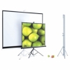 Экран на штативе ScreenMedia Apollo формат 153*203см (95'') 4:3 MW SAM-4303