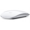 Apple Magic Mouse (MB829ZM/A)