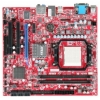 Материнская плата MSI 760GTM-P33 <SAM2+, 760G, 2*DDR2, PCI-E16x, SVGA, SATA RAID, GB Lan, mATX, Retail> (911-7596-020)