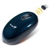 Мышь Genius ScrollToo 800 оптическая, беспроводная, мини, USB, 1200dpi, USB, 3 кнопки, blue
