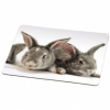 Коврик для мыши Rabbits, шелковый, Hama   H-50228