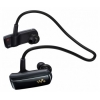 Плеер Flash Sony NWZW252B 2Gb Black (NWZW252B.CEV)