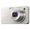 Фотоаппарат  Sony DSC WX1 silver 10.2 Mpix 1/2.4" 5x 24mm 2.7"  + MSMT4G-BULK (4GB Sony MemoryStick) (DSCWX1SMSMDI.YC)