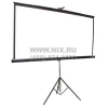 Экран на треноге Projecta Professional 213x213cm Matte White  <10430110>  (115",  1:1)