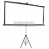 Экран на треноге Projecta Professional 162x213cm Matte White <10430107>  (100", 4:3)