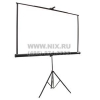 Экран на треноге Projecta Professional 178x178cm Matte White <10430109>  (96", 1:1)