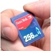 SANDISK SECUREDIGITAL (SD) MEMORY CARD 256MB