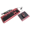 A4-Tech G-Cube3 <GKSP-2305R Mad for Plaid> (Кл-ра М/Мед USB,+ USB порт, Мышь USB, 6кн, 2Roll + коврик)