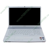 Мобильный ПК Sony "VAIO VPCEF2E1R/WI" (Athlon II X2 P320-2.10ГГц, 4096МБ, 320ГБ, HD4250, DVD±RW, 1Гбит LAN, WiFi, WebCam, 17.3" HD+, W'7 HP 64bit), матовый белый 