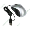 "Мышь" Genius "Ergo 300 4D Scroll Mini" оптич., 2кн.+скр., серебр.-черный (USB) (ret)