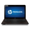 Ноутбук HP dv6-3101er P340/3GB/250Gb/HD5650 1GB/DVDRW/WiFi/BT/W7HB/15.6"HD BV LED/Cam(XD542EA)