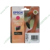 Картридж Epson "T0873" C13T08734010 (пурпурный) для Stylus Photo R1900 