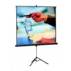 Экран на штативе Projecta 213x213см Professional (10430110) 1:1