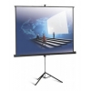 Экран на штативе Projecta 152x152см ProView (10430112)