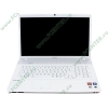 Мобильный ПК Sony "VAIO VPCEF3E1R/WI" (Athlon II X2 P340-2.20ГГц, 4096МБ, 320ГБ, HD4250, DVD±RW, 1Гбит LAN, WiFi, WebCam, 17.3" HD+, W'7 HP 64bit), серебр.-белый 