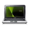 Субноут Samsung NP-NF310-A03 N550/2G/250G/iGMA/WiFi/BT3.0/W7S/10.1 LED HD/6cell/Cam/титан (NP-NF310-A03RU)