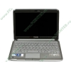Мобильный ПК Toshiba "Satellite T210-110" (Pentium DC U5400-1.20ГГц, 2048МБ, 320ГБ, GMAHD, LAN, WiFi, BT, WebCam, 11.6" WXGA, W'7 HP 64bit) 