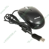 "Мышь" Microsoft "Ready Mouse" 3EG-00004 оптич., 2кн.+скр., черный (USB) (ret)