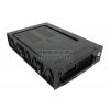 AgeStar <SRTP(K)-2F-Black> Мобильное шасси для HDD 3.5 SATA
