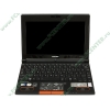 Мобильный ПК Toshiba "NB520-10E" (Atom N455-1.50ГГц, 1024МБ, 250ГБ, GMA3150, LAN, WiFi, BT, WebCam, 10.1" WSVGA, W'7 S), оранжевый 