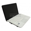 Samsung NC110 <NP-NC110-A03> Atom N455/1/250/WiFi/BT/Win7St/10.1"/1.17 кг