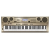 Синтезатор Casio AT-5 Oriental (76Key,800+100Ton,250+100Rh,16Trk.Seq,150Arp,AuRec.SD,USB,AUX,MicIN)