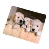Коврик для оптической мыши Hama Puppies 1 мм (H-52242)