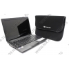 Packard Bell dot s DOT-SE-723RU <LU.BT408.024> N570/2/320/WiFi/BT/Win7St/10.1"/1.11 кг