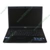 Мобильный ПК ASUS "P52F" (Core i3 380M-2.53ГГц, 3072МБ, 320ГБ, GMA4500M, DVD±RW, 1Гбит LAN, WiFi, BT, WebCam, 15.6" WXGA, W'7 HB 64bit) 